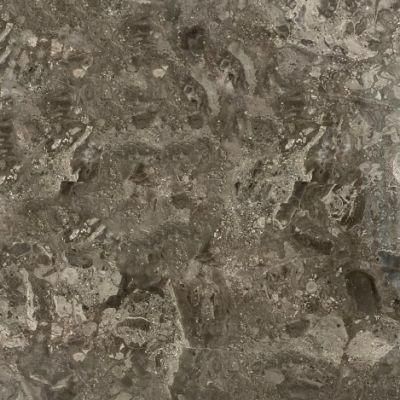 Sicilian Grey Marble Slabnatural Material Stone for Floor/Stair/Tile