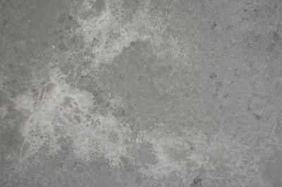 The Popular Concrete Series Quartz Stone for Benchtop