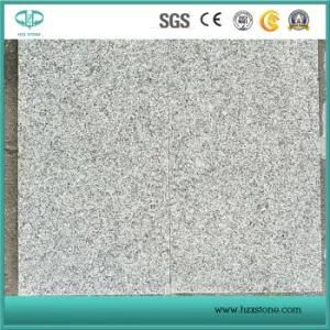 G603/Grey Granite/Chinese Granite for Paving Stone/ Curbstone/Kerbstone