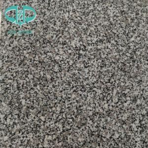 Quarry Owner Competitive Price Nice Grey Color Polished Granite