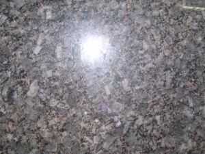 Imported Granite Little Brown Pearl for Tiles/Countertops/Kitchentops/Hotel/Building Materials