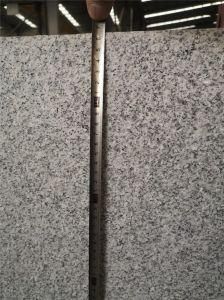Polished/Flamed Grey Granite G603