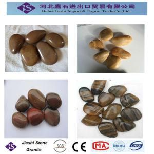 Natural River Stone Mixed Color Pebblestone and Cobblestone