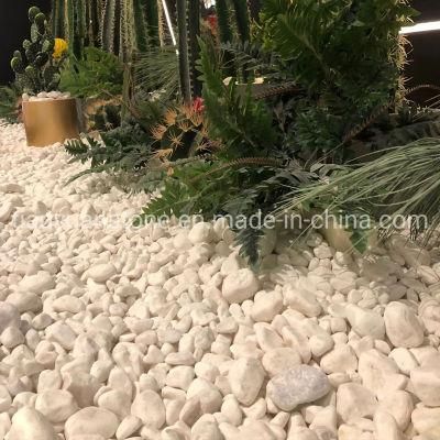 Snow White Pebble Stone, Cobble Stone, River Stone, Marble Pebbles