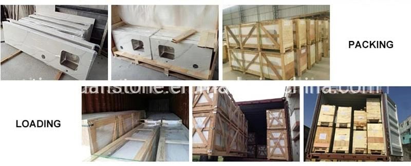 China Natural Stone Panda White Marble Vanity Top for Kitchen Bathroom
