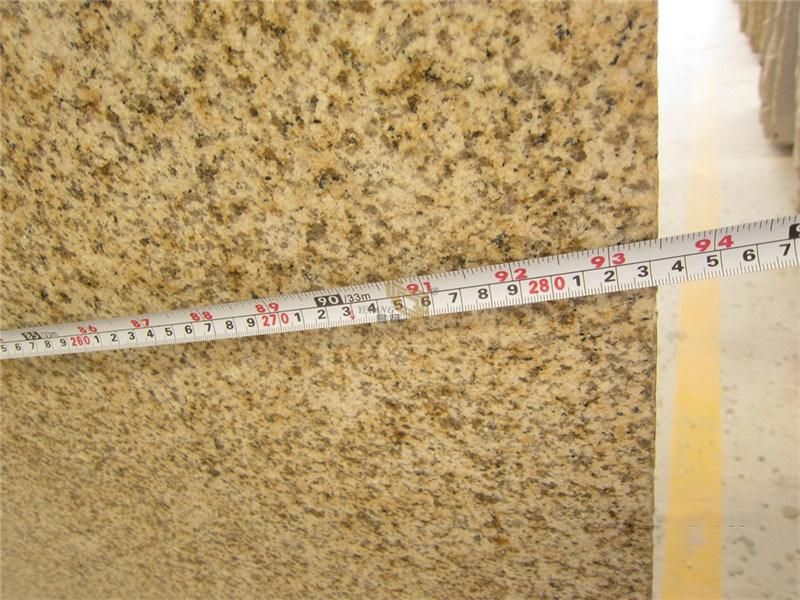 Gold/Yellow/Beige Natural Granite Slab/Tile /Countertop/Benchtop/Worktop/Flooring/Paving/Wall Kitchen Countertop Floor Tile Granite Supplier