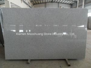 Polished Cheap G603 Grey/White Granite for Slabs and Tiles