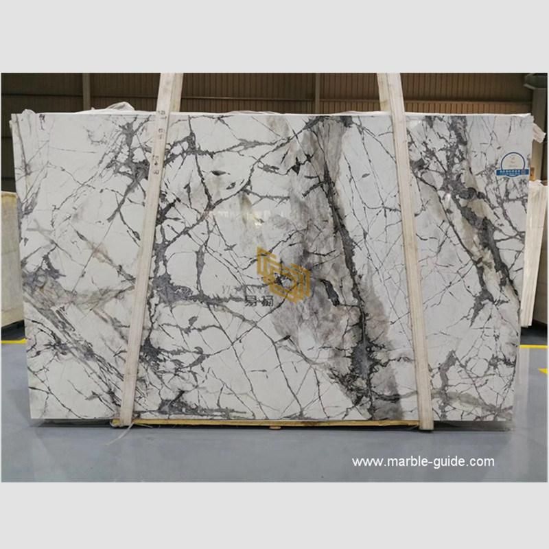 Natural Chinese Polished White Winter Snow Marble Panels for Flooring/Fireplace/Countertop/Bathroom Wall Tiles/Decoration