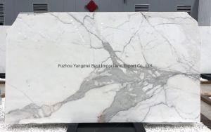 Calcatta White Stone Marble for Flooring Tiles Slabs Countertops/Worktops/Vanitytops
