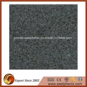 Natural G654 Granite Tile for Wall/Step/Floor Tile