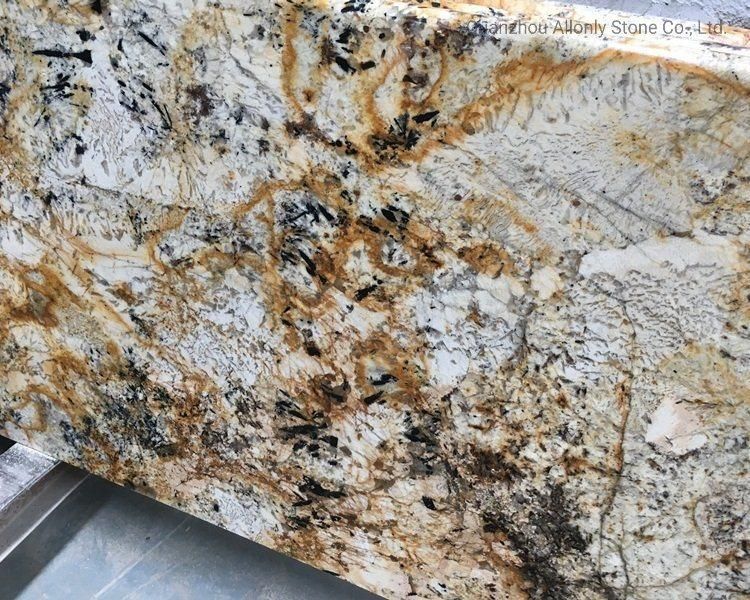 Natural Stone Bullnose Edge Delicatus Gold Granite Countertop for Kitchen