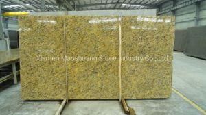 Santa Cecilia Dark Granite Slab