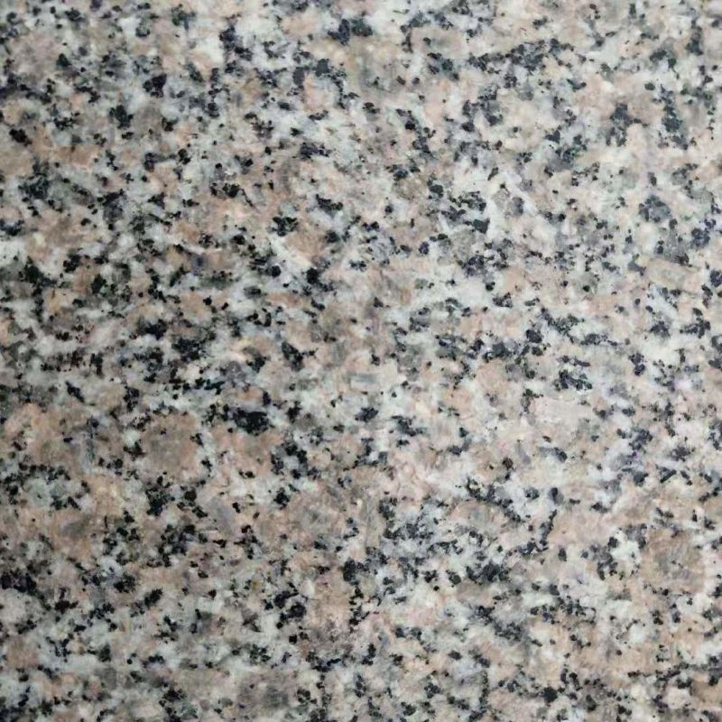 Brazil Giallo Granite Santa Cecilia Light Tiles
