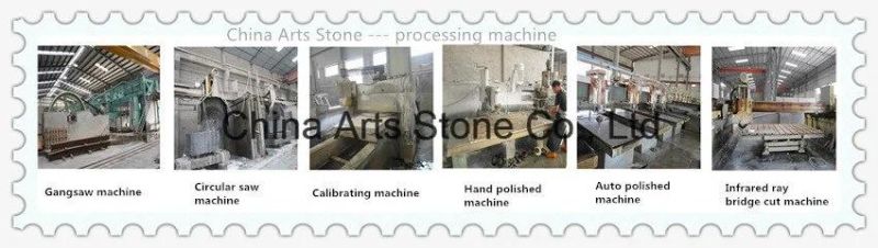 High Quality Nature White Marble for Wall Tile
