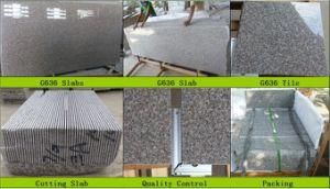 G636/ Red Granite/Chinese Granite/Granite Tile/Xili Red