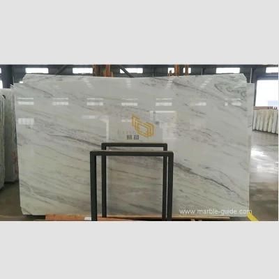 Quality Tesla White Marble Stone for Kitchen/Bathroom Countertop/Vanity Accent Wall Marble Tiles