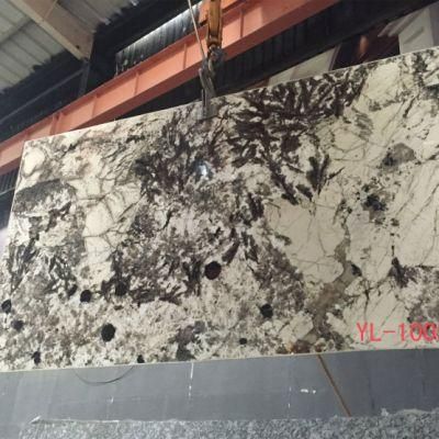 Shangri-La Green Marble Slabs for Flooring Tile, Countertop