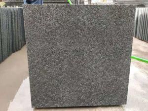 New Seasame Black G654 Granite