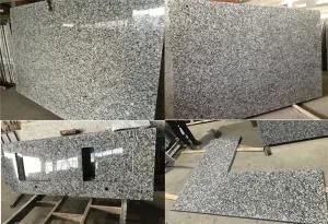 China Natural Stone Factory for Slab/Countertops