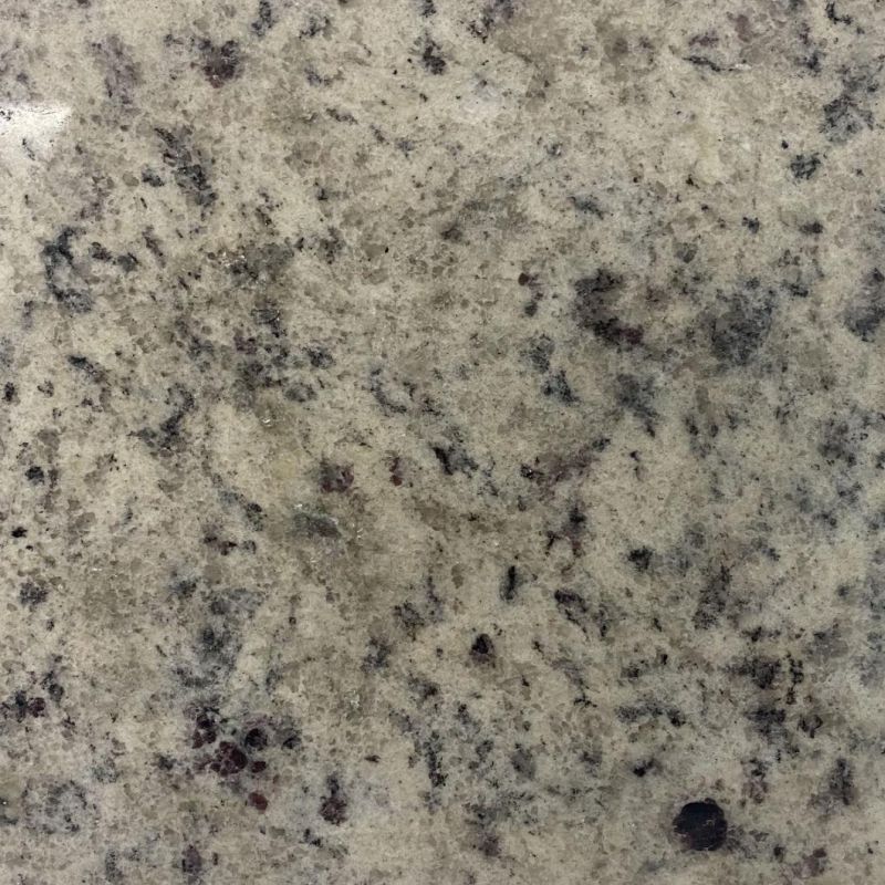 White Pearl with Surface Granite and with Cost-Effective for Kitchen