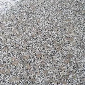 Cheap Grey Stone G383 Flower Pearl Granite for Floor Tiles, Wall Tiles