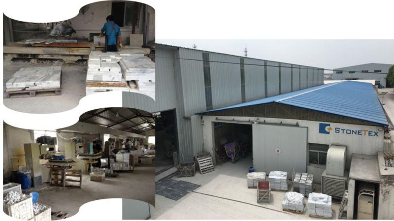 Carrara and Thassos Marble or Marble Mix Metal/Glass/Mirror Luxury Waterjet Mosaic Tile for Backsplesh Tile
