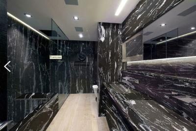 Hot Selling Silver Dragon Marble Slabs Marble Tiles with Best Quality of The Marble