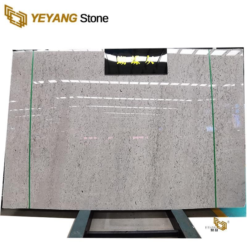 Marble Slab Grey/Brown/White/Blue/Green Wall/Flooring Tile Marble Backsplash Factory Supplier