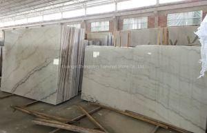 Decorative White Marble Tile and Slab Price Wholesale