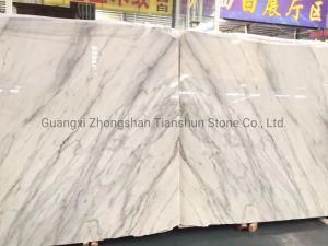 Calacatta White and Grey Marble Stone Slabs Wall