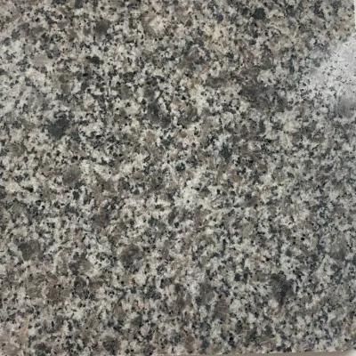 Natural Granite Black/White/Grey Polished/Honed/Flamed/Brushed
