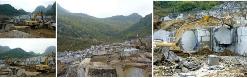 Silver Portoro Black Marble, Marble Slabs Tiles From China