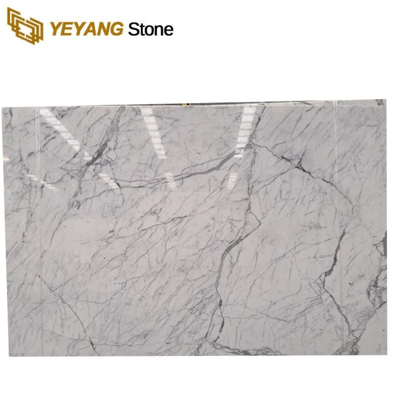 Polished Calacatta White Marble for Wall/Floor/Tiles/Countertop