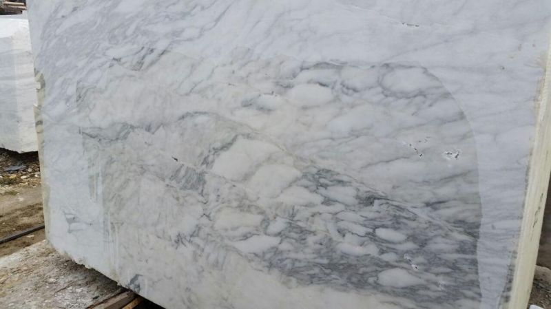 China Top Grey Granite/Calacatta Ocean Grey Granite/Grey Granite for Floor/Background