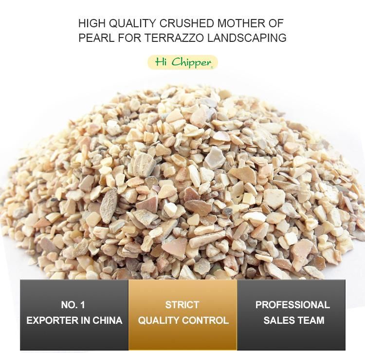 Crushed Natural Shell Debris for Concrete Terrazzo Engineered Stone Decoration