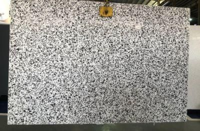 Terrazzo Tiles 30*60cm / 60*60/ 30*30 of Polished Indoor Flooring Cover