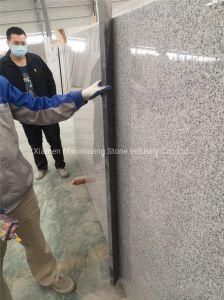 Hubei G603 Stone