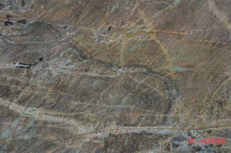 Bronze Green Blue Marble Slabs for Interior Flooring Wall Decoration