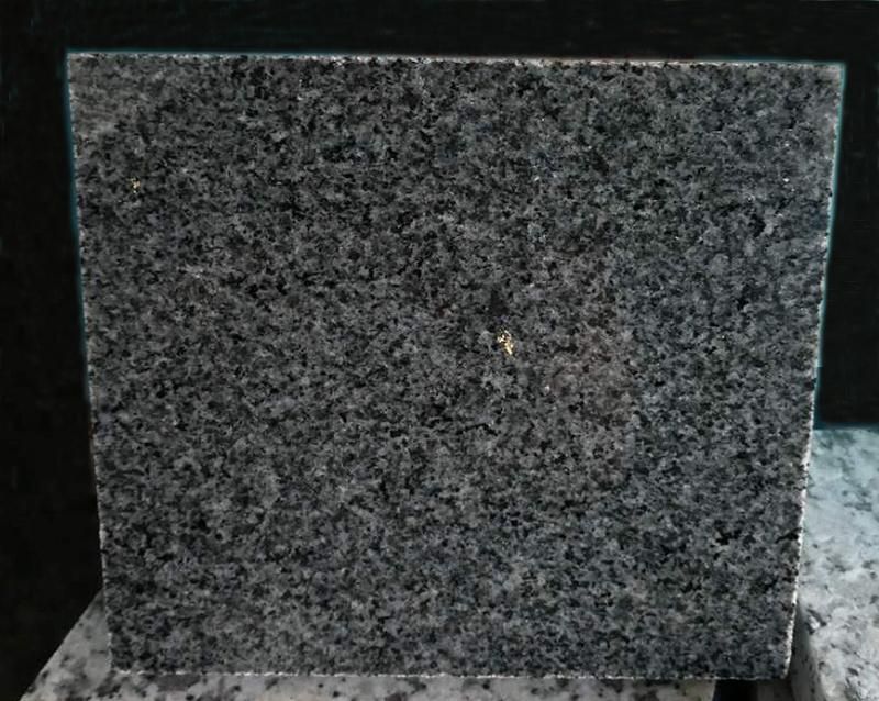 New Dark Grey G654 Black Granite/ Flooring/Wall Cladding/Stairs/Steps/Pool Coping Stone Tile Paving Stone