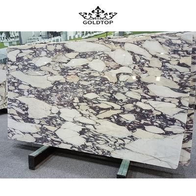 Factory Wholesale Natural Stone Polished/ Honed Surface Bathroom/Kitchen /Living Room Countertop Calacatta Violet Marble for Home