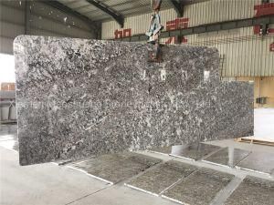 Hot Sale Granite Kithen Countertops &amp; Table Tops for Kitchen