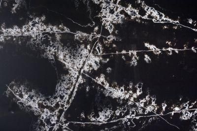 Polished Surfaces Engineered Black Ice Quartz Stone Slab with NSF SGS Certification