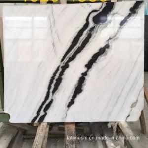 Panda White Marble for Flooring and Background Wall