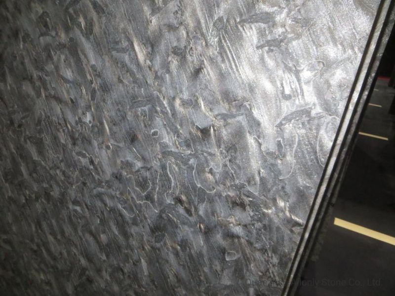 Wholesale Natural Versace Black Marble Luxury Stone for Hotel Design