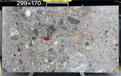 Wall Decoration Big Slab Natural Stone Terrazzo for Wall/Floor