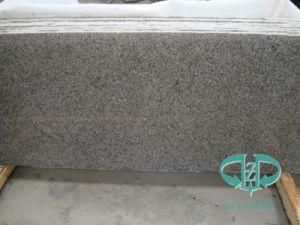 Natural Stone G603 Grey Granite for Floor/Paving/Tile