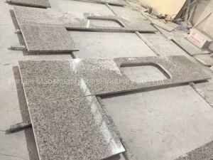Natural Stone Tiger Skin White China Granite for Counter Tops