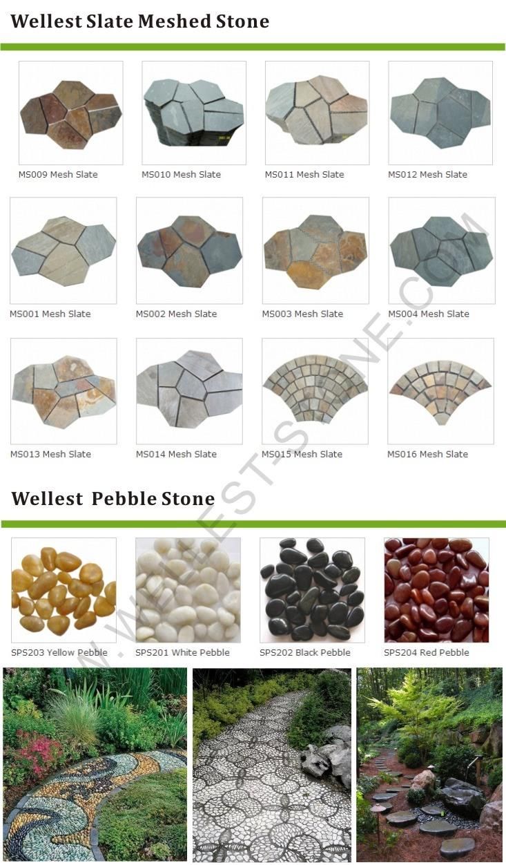 Dark Grey Flamed Blue Limestone Driveway Paver