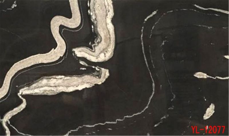 Ink Impression Black Marble Slabs for Flooring Tile, Countertop