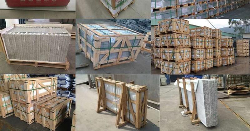 Granite G603 Granite Stone Tile for Outdoor Decoration